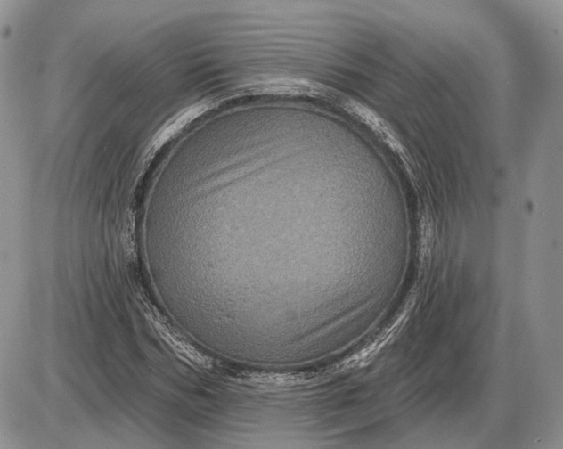 X0000085260970200703231711