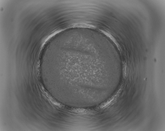 X0000085260971200703231711