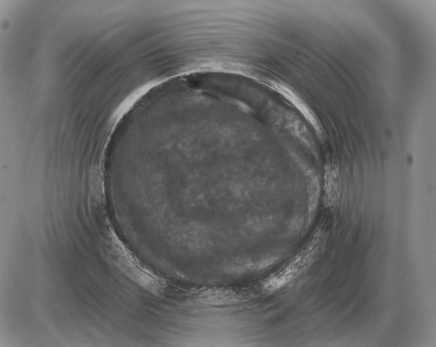 X0000085260972200703231711