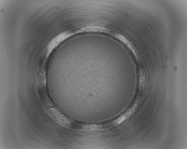 X0000085260973200703231711