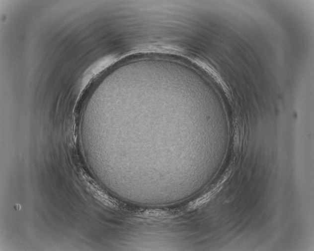 X0000085260974200703231711