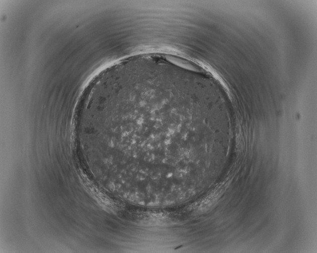 X0000085260975200703231711