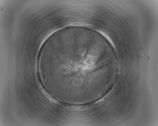 X0000085260976200703231711