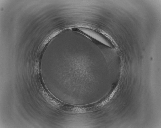 X0000085260977200703231711