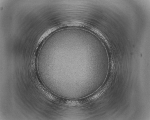 X0000085260978200703231711