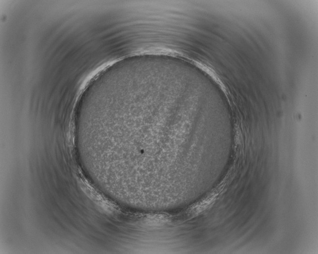 X0000085260979200703231711