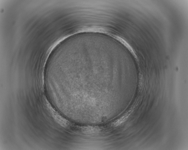 X0000085260980200703231711