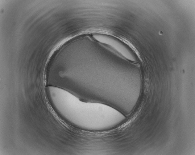 X0000085260981200703231711