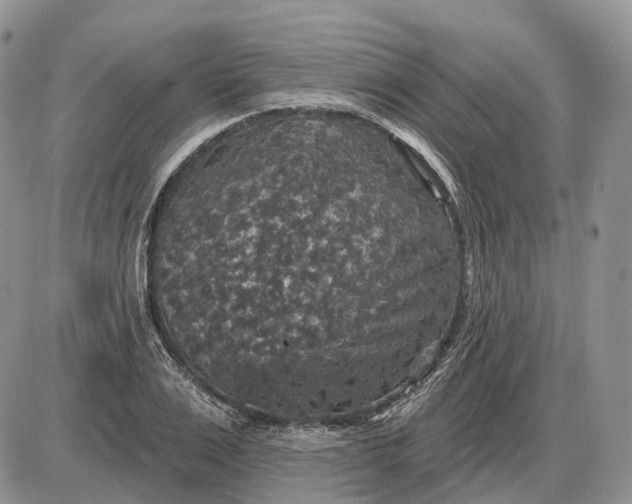 X0000085260983200703231711