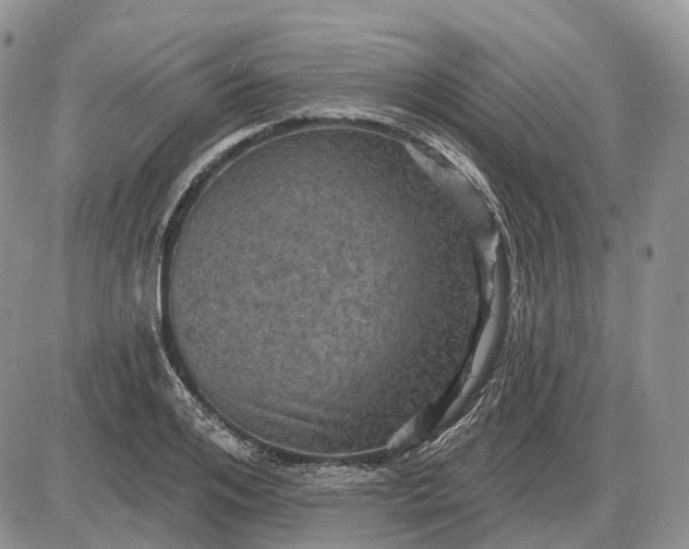 X0000085260984200703231711