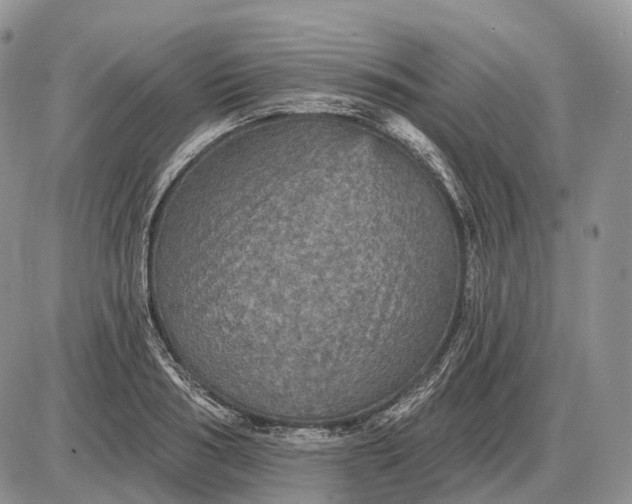 X0000085260986200703231711