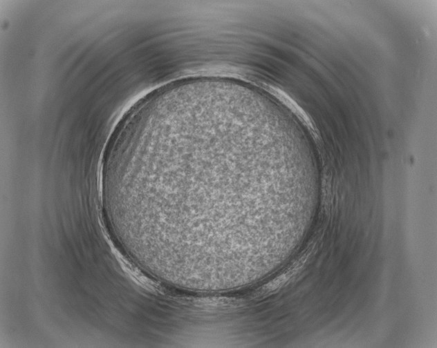 X0000085260988200703231711