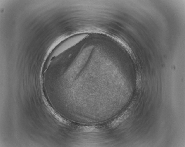 X0000085260990200703231711