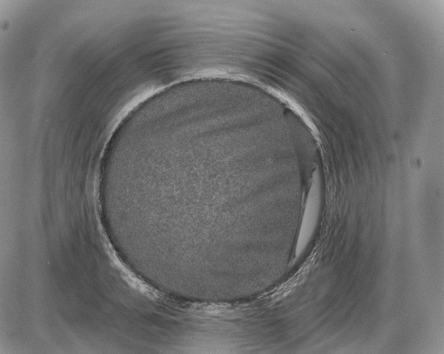 X0000085260991200703231711