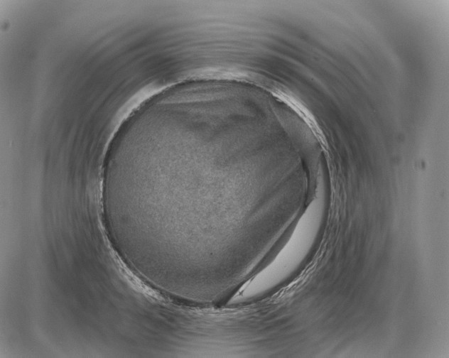 X0000085260992200703231711