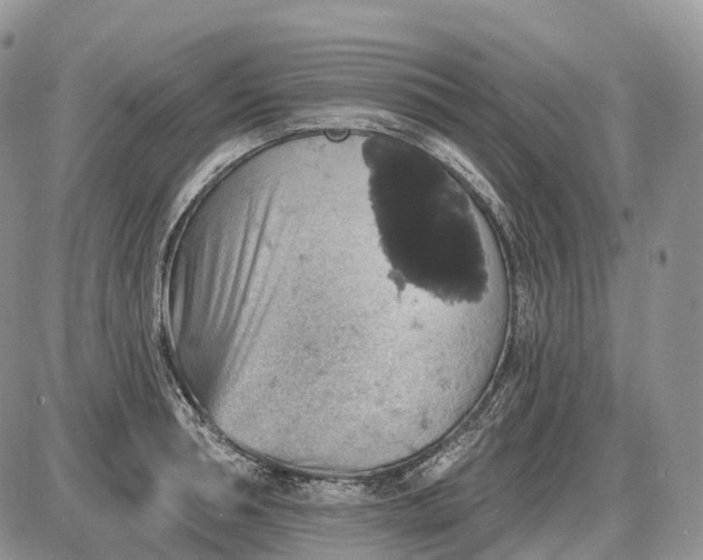 X0000085260994200703231711