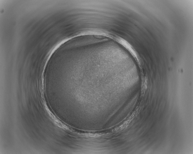 X0000085260996200703231711