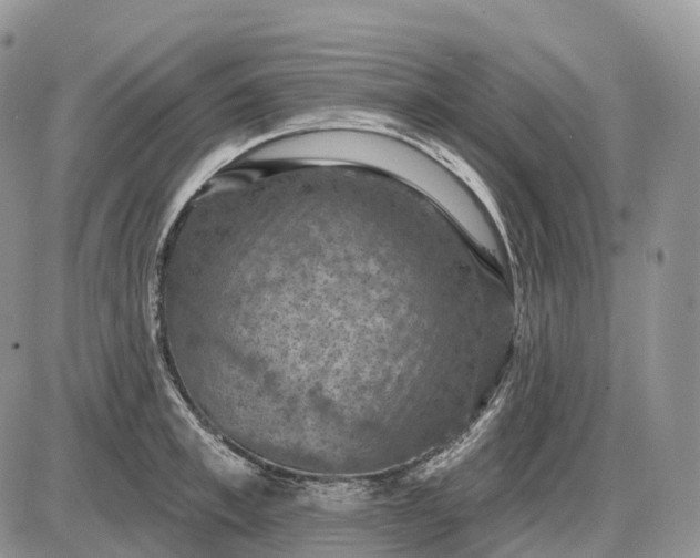 X0000085260997200703231710