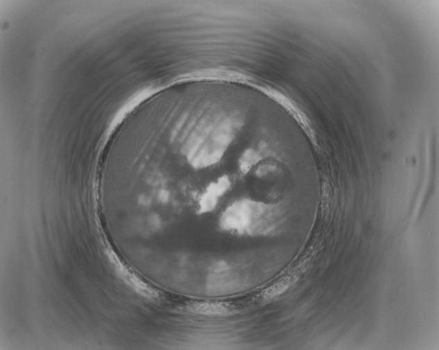 X0000085260998200703231710