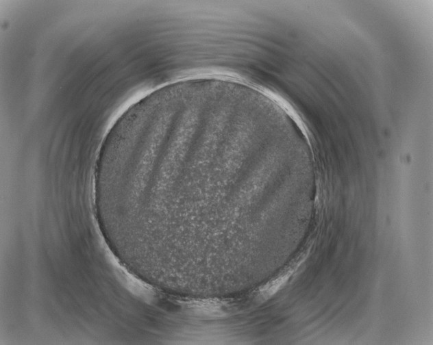 X0000085260999200703231710