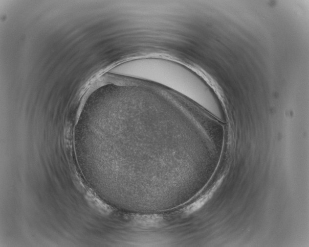 X0000085261001200703231710