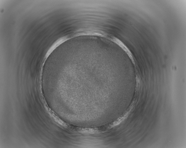 X0000085261002200703231710