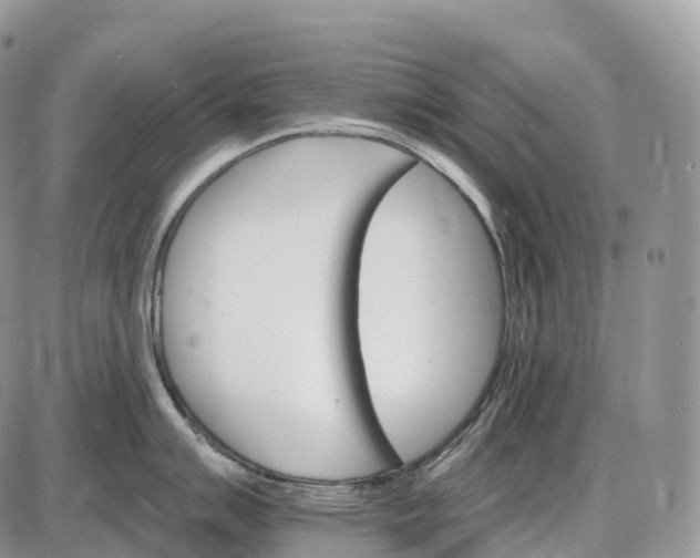 X0000085261007200703231710