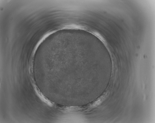 X0000085261008200703231710