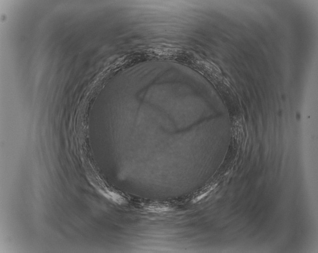 X0000085261009200703231710