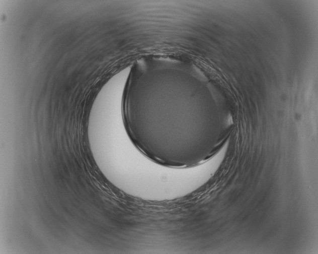 X0000085261010200703231710