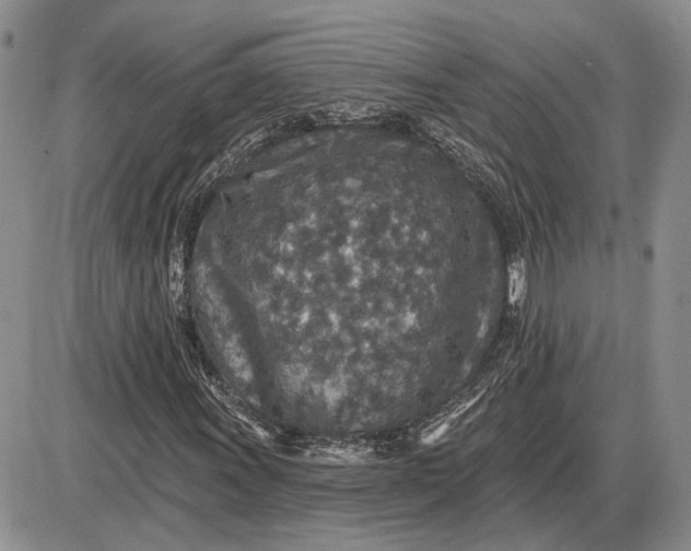 X0000085261011200703231710