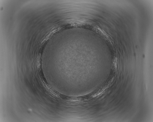 X0000085261012200703231710