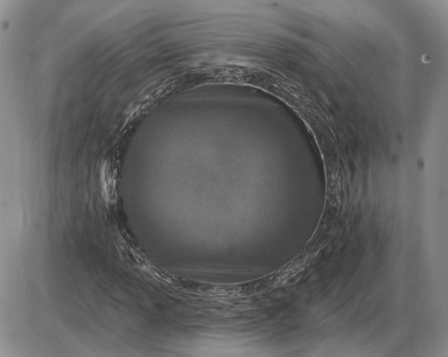 X0000085261013200703231710