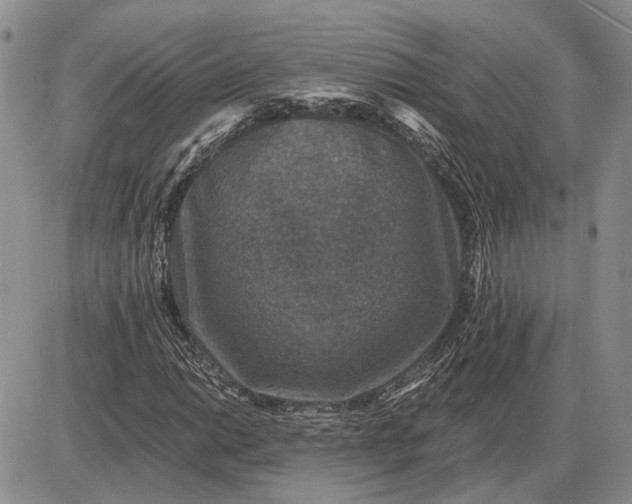 X0000085261014200703231710