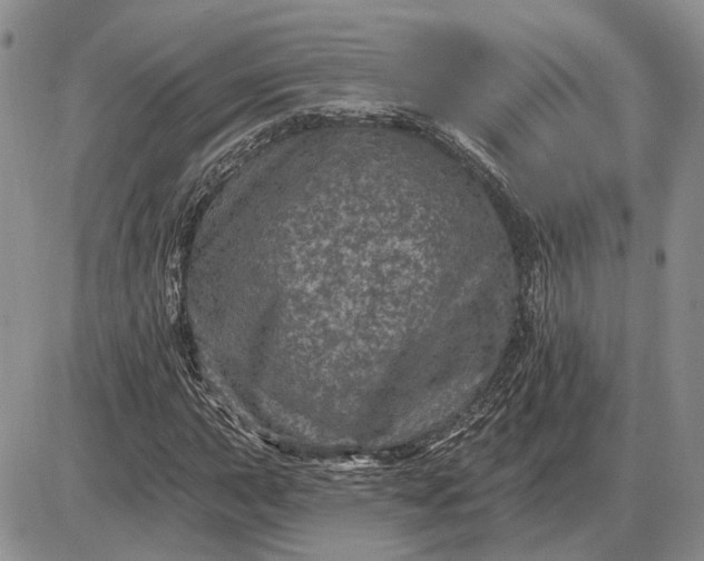 X0000085261015200703231710