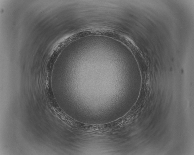 X0000085261016200703231710