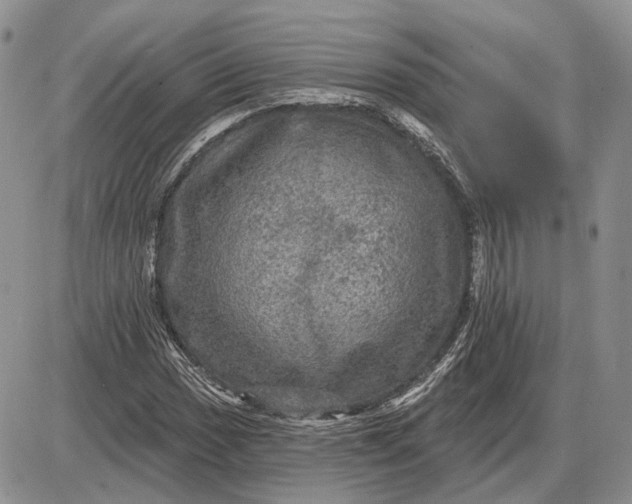 X0000085261017200703231710