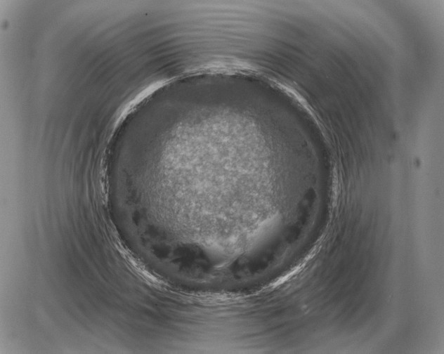 X0000085261018200703231710