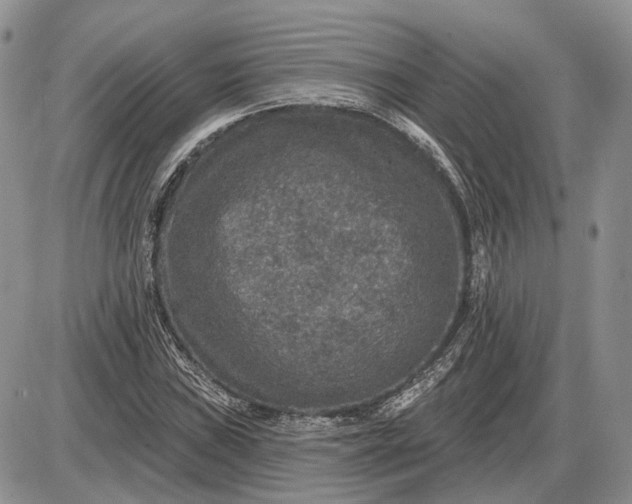 X0000085261019200703231710