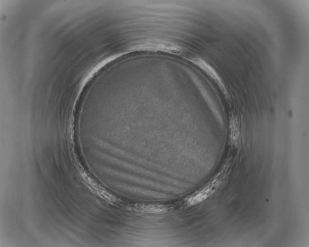 X0000085261020200703231710