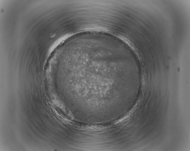 X0000085261022200703231710