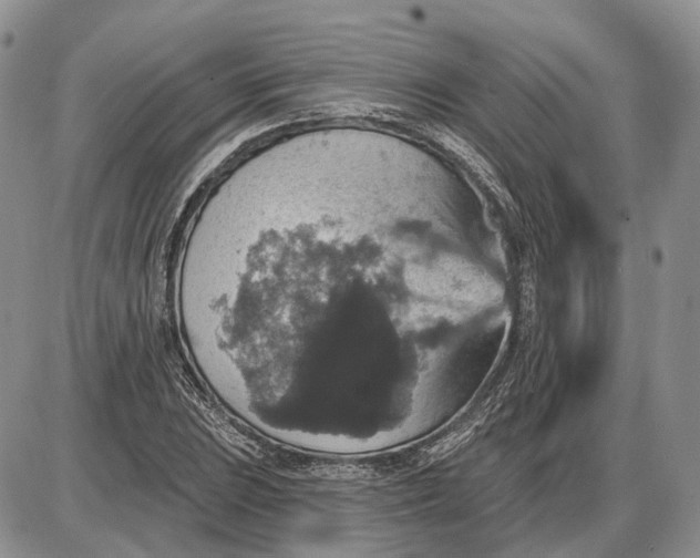 X0000085261023200703231710