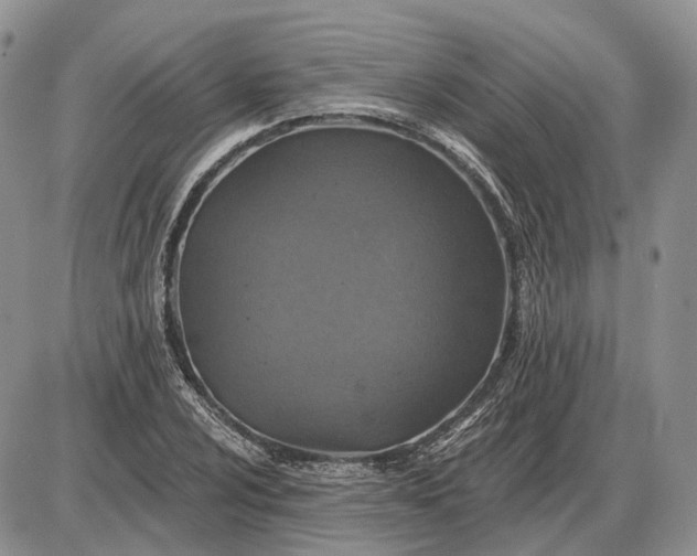 X0000085261024200703231710