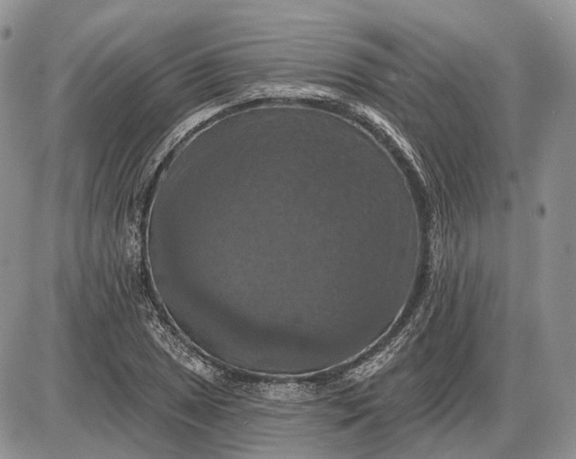 X0000085261025200703231710