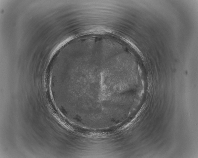 X0000085261026200703231710