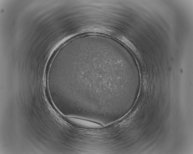 X0000085261028200703231710