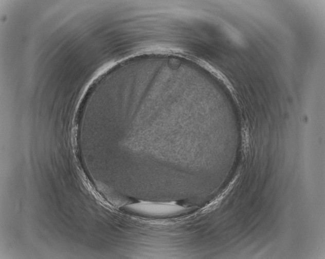 X0000085261029200703231710