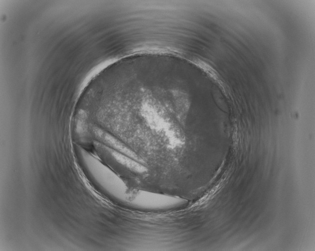 X0000085261030200703231710