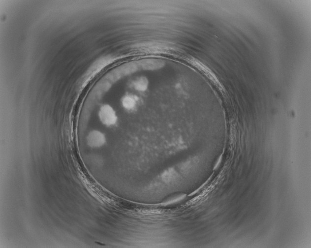 X0000085261031200703231710