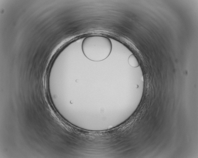 X0000085261032200703231710